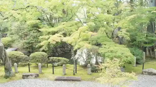 真正極楽寺（真如堂）(京都府)