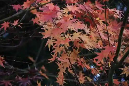 豊景神社の庭園