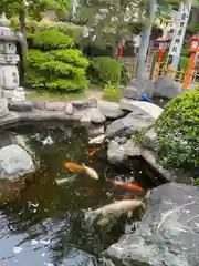 尾張猿田彦神社(愛知県)