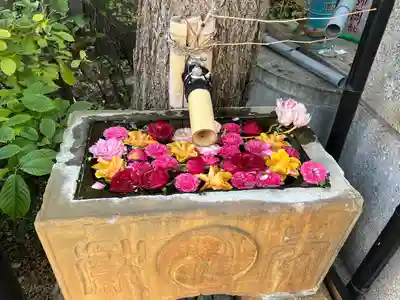 菊名神社(神奈川県)