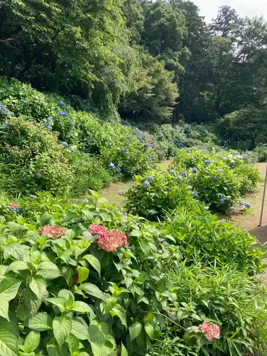 大宝八幡宮(茨城県)