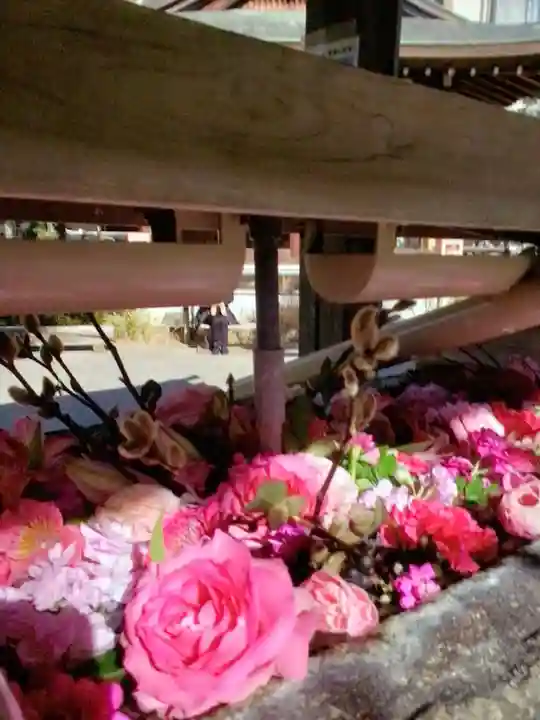 鳩森八幡神社の手水舎