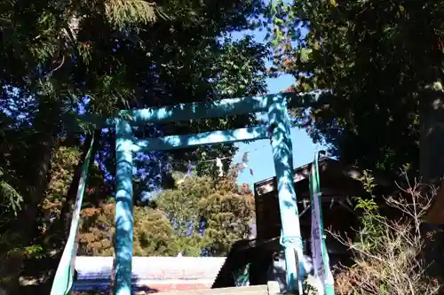 和田神社の鳥居