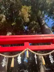 須山浅間神社(静岡県)