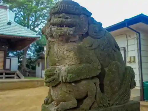 青砥杉山神社の狛犬