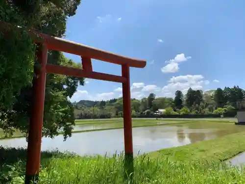 稲荷神社の鳥居