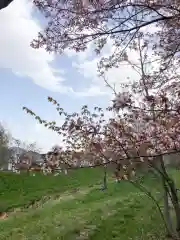 長沼神社の自然