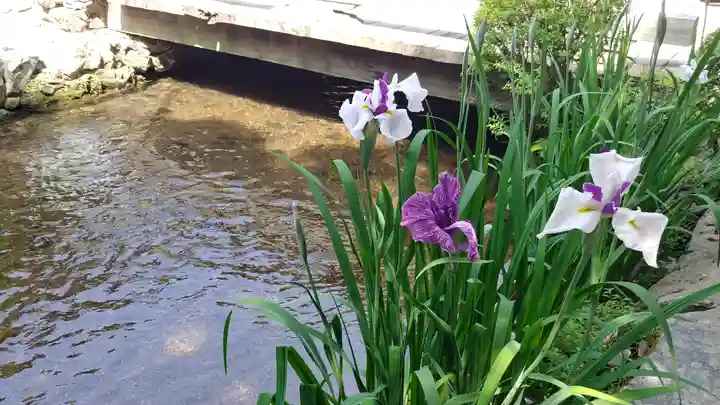 賀茂別雷神社(上賀茂神社)の庭園