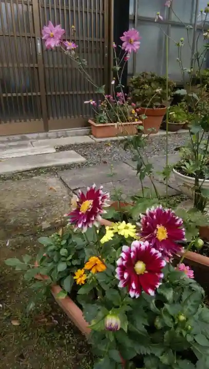 豊景神社(福島県)