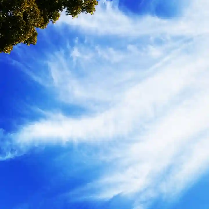 品川神社の景色