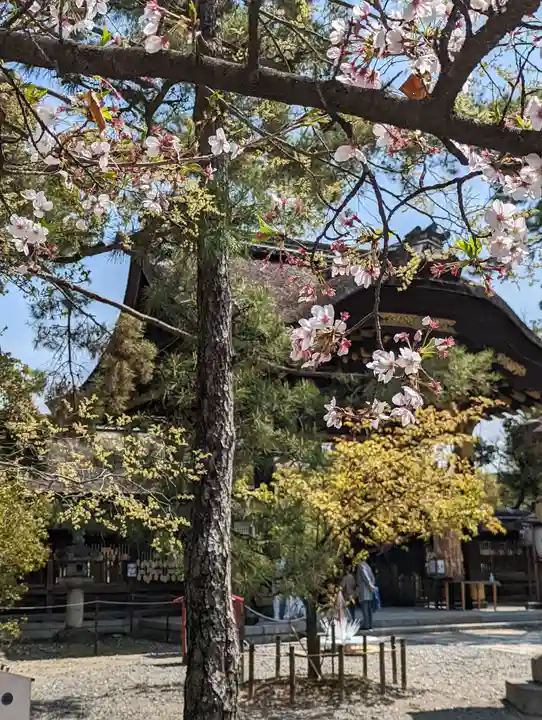 豊国神社(京都府)