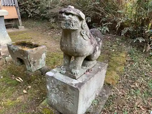 八幡神社の狛犬