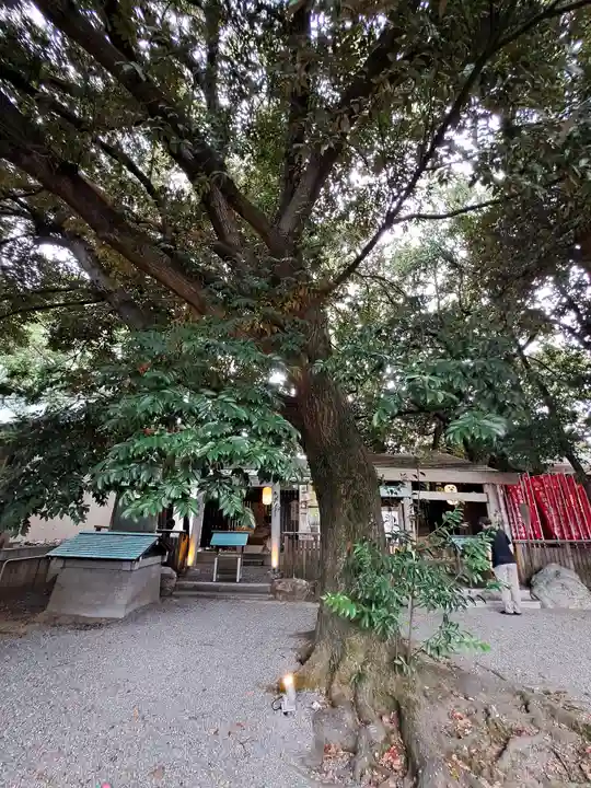 桑名宗社(春日神社)(三重県)
