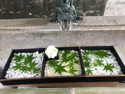 徳島眉山天神社の手水舎