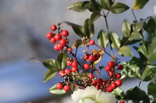 滑川神社 - 仕事と子どもの守り神の手水舎