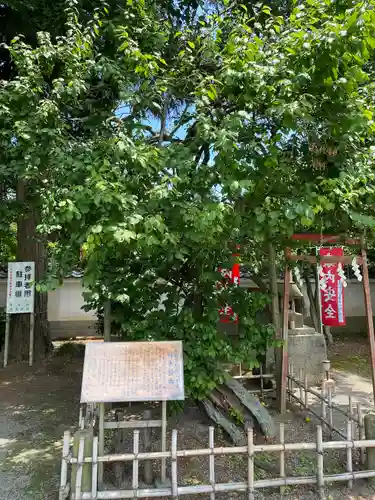 弘道館鹿島神社の自然