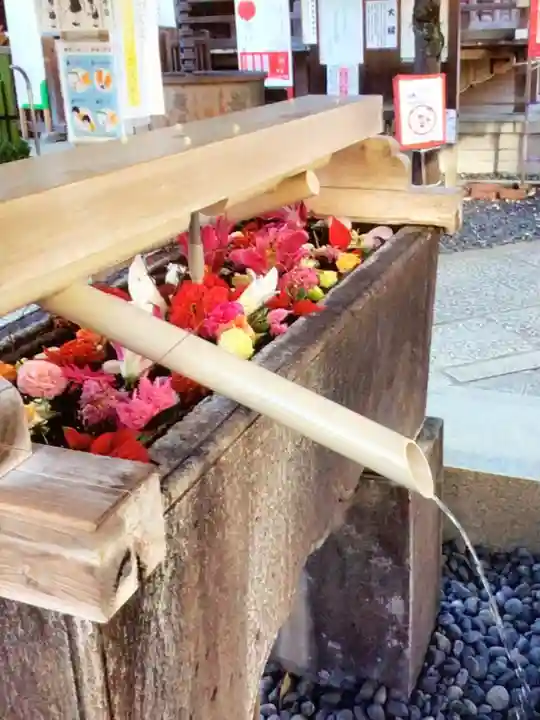 鳩森八幡神社の手水舎