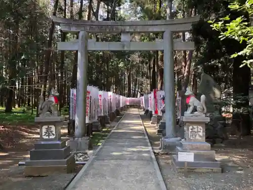 豊川閣　妙厳寺の鳥居