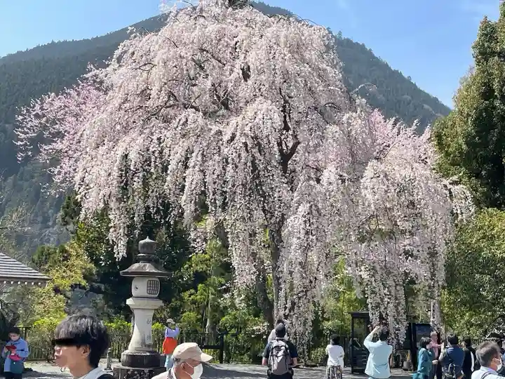 久遠寺(山梨県)