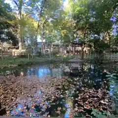 調神社の庭園