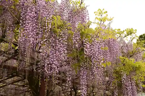 笠間稲荷神社(茨城県)