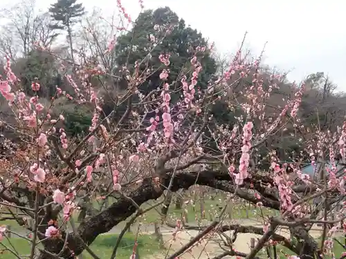 師岡熊野神社の御朱印