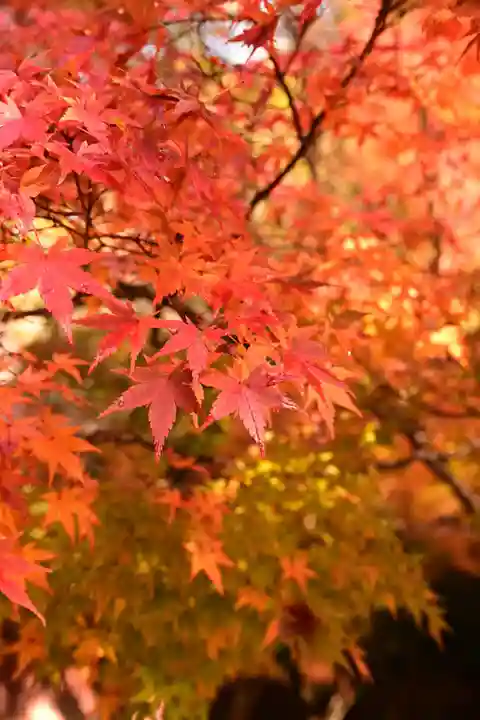 神護寺(京都府)