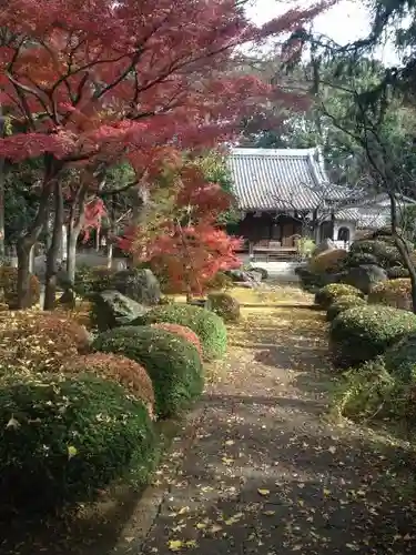 妙安寺の庭園