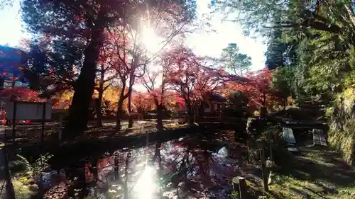 玉龍寺(岐阜県)