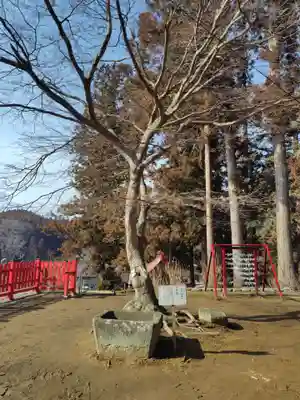 松澤神社(岩手県)
