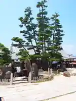 大願寺の庭園