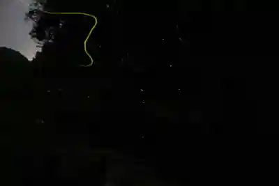 金蛇水神社(宮城県)