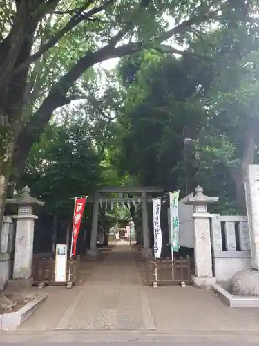 神明氷川神社の鳥居