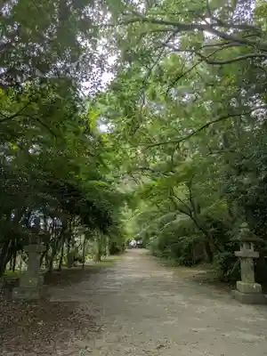 薦神社(大分県)