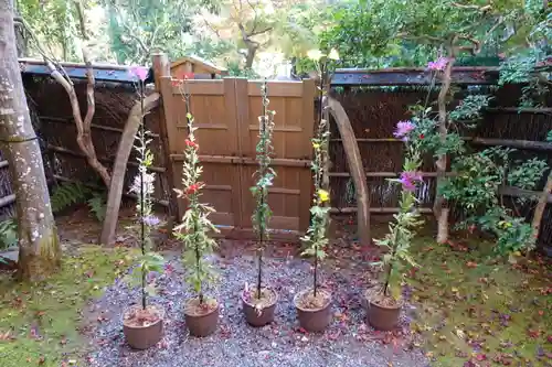 祇王寺(京都府)