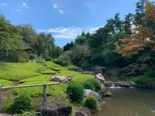 退蔵院の庭園