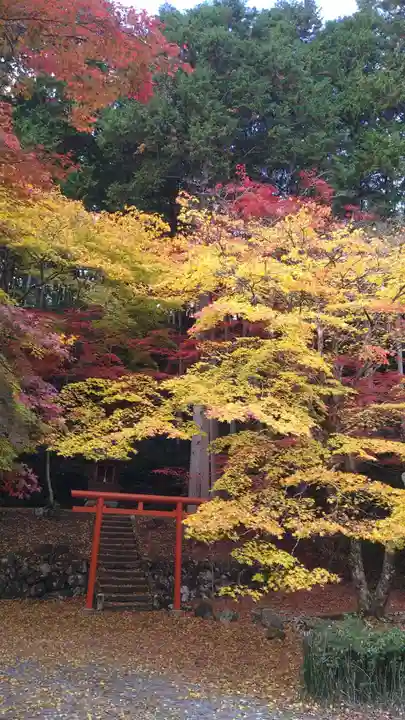 洞光寺(兵庫県)