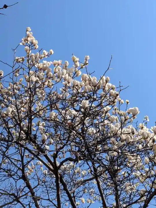 柏の宮稲荷神社(東京都)