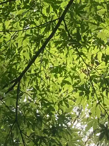 水神社(東京都)