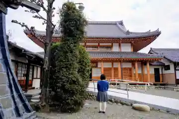 高屋山 永正寺の本殿・本堂