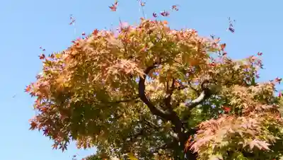 長福寺(神奈川県)