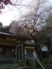 馬居寺(福井県)