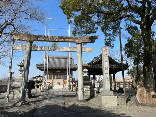 白髭神社の鳥居