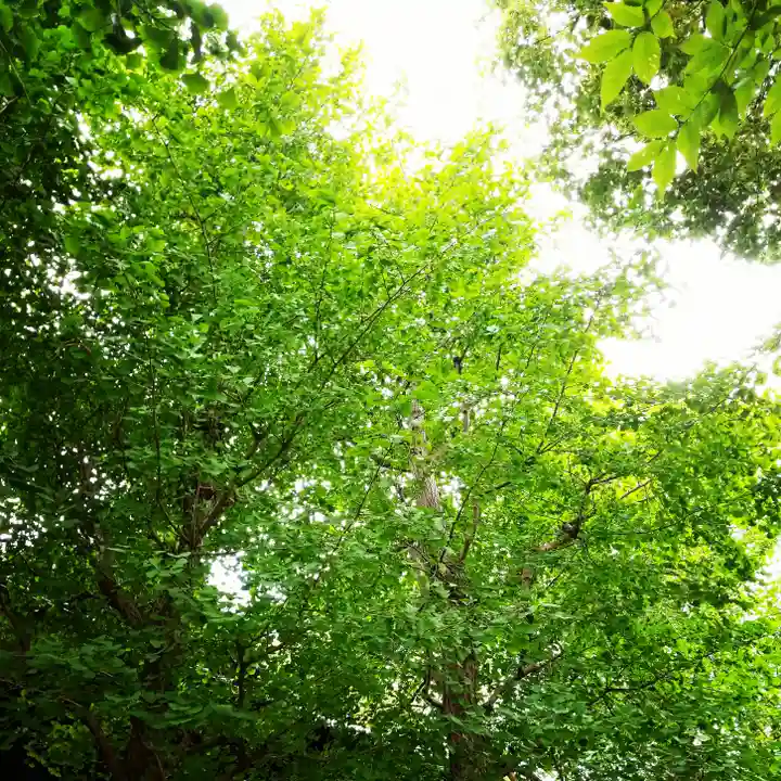 白髭神社のその他建物