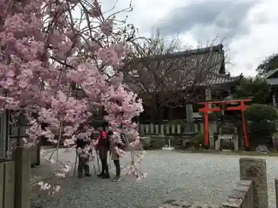 櫻本坊の本殿・本堂