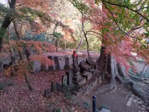 金龍寺(群馬県)