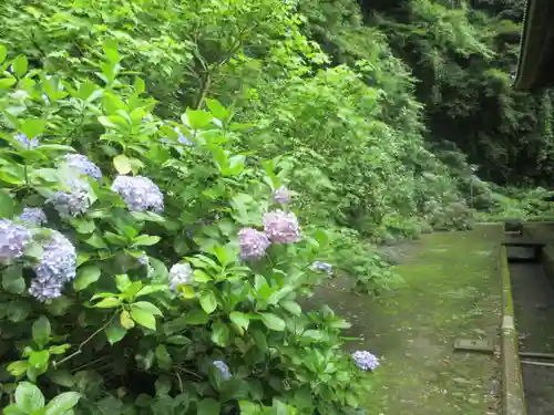 妙本寺の庭園