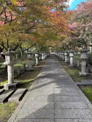 高山寺(兵庫県)