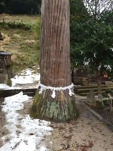 須我神社(島根県)