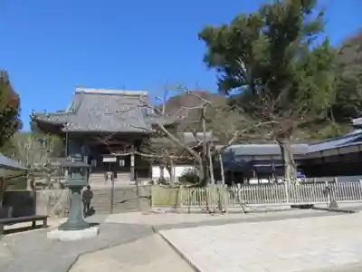 大日寺の本殿・本堂